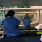 Immigration Habeas Lawyer