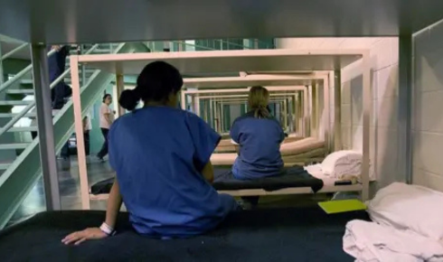 Immigration Habeas Lawyer