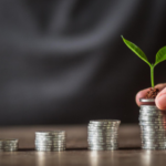 working capital loan