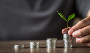 working capital loan