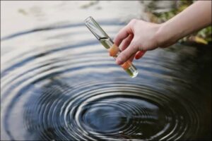 bacteria & contaminants